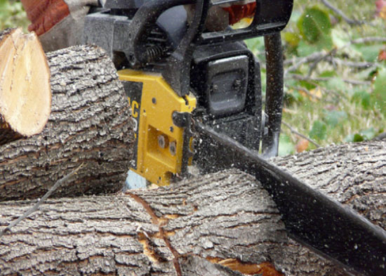 Chainsaw Safety Training Program